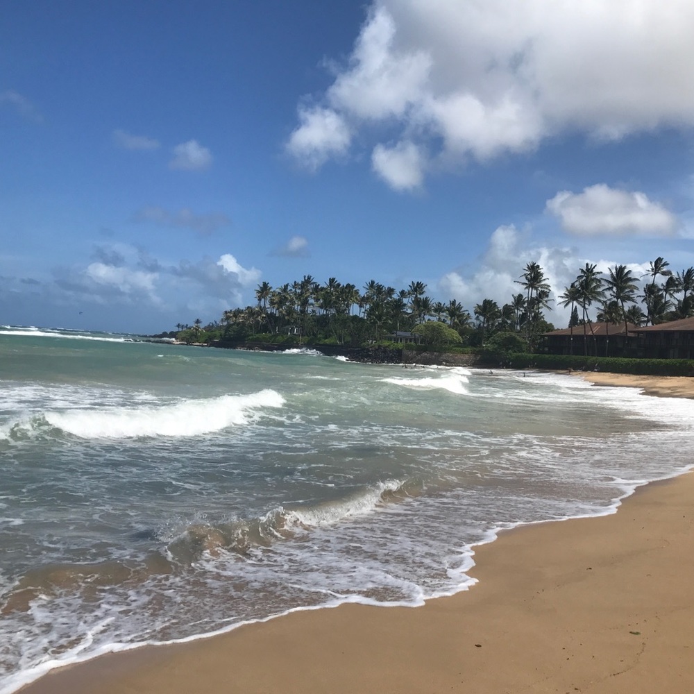 Meet your Posher, Keely